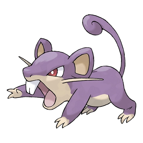 Rattata